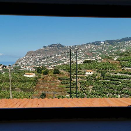 Villa Nova Madeira In Funchal Casa A And B 客房 照片